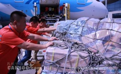 南航新疆货运首次保障波音787机型货物运输